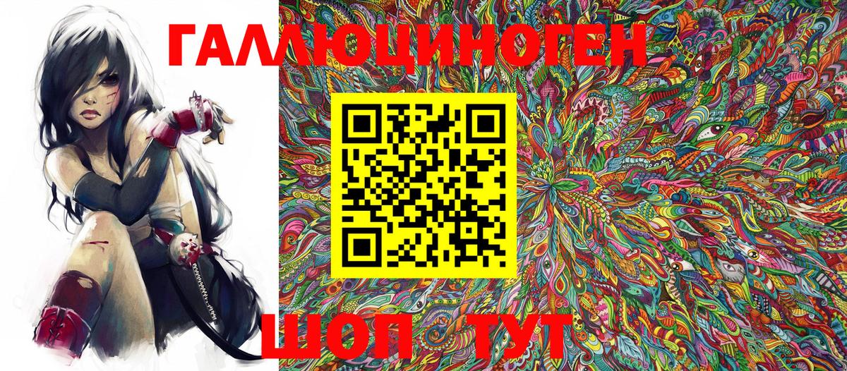 Галлюциногенные грибы Psilocybe Камышлов