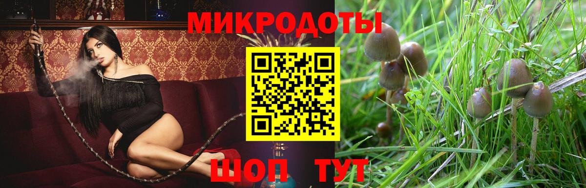 Камышлов  Псилоцибиновые грибы мухоморы  Галлюциногенные грибы Psilocybe  Вход с VPN 